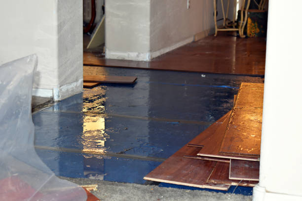 Professional Water Damage technician working in Allenton, MI